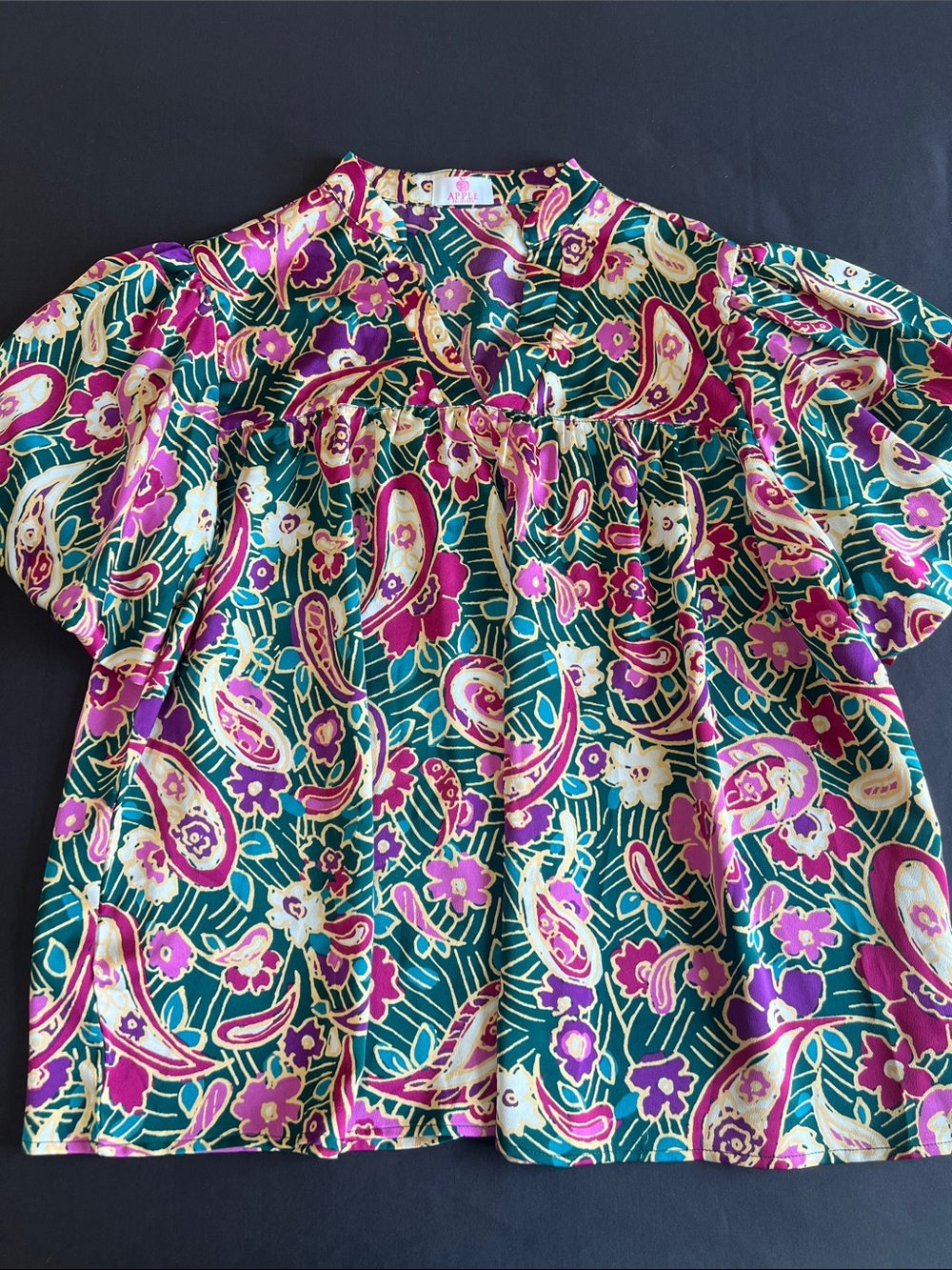 Apple Boulevard Women's Paisley Floral Short-Sleeve Blouse in Teal and Magenta